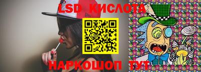 индика Гатчина