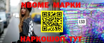 индика Гатчина