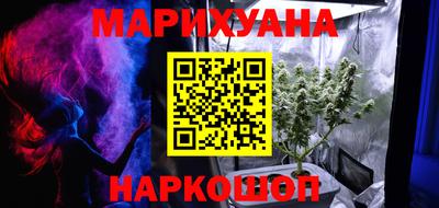 индика Гатчина