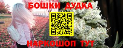 индика Гатчина