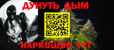 индика Гатчина