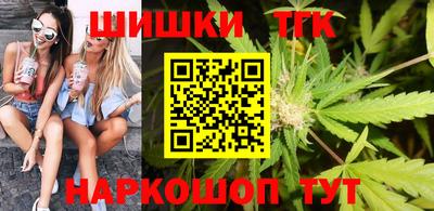 индика Гатчина