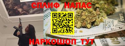 a pvp Гагарин