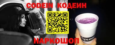 индика Гатчина