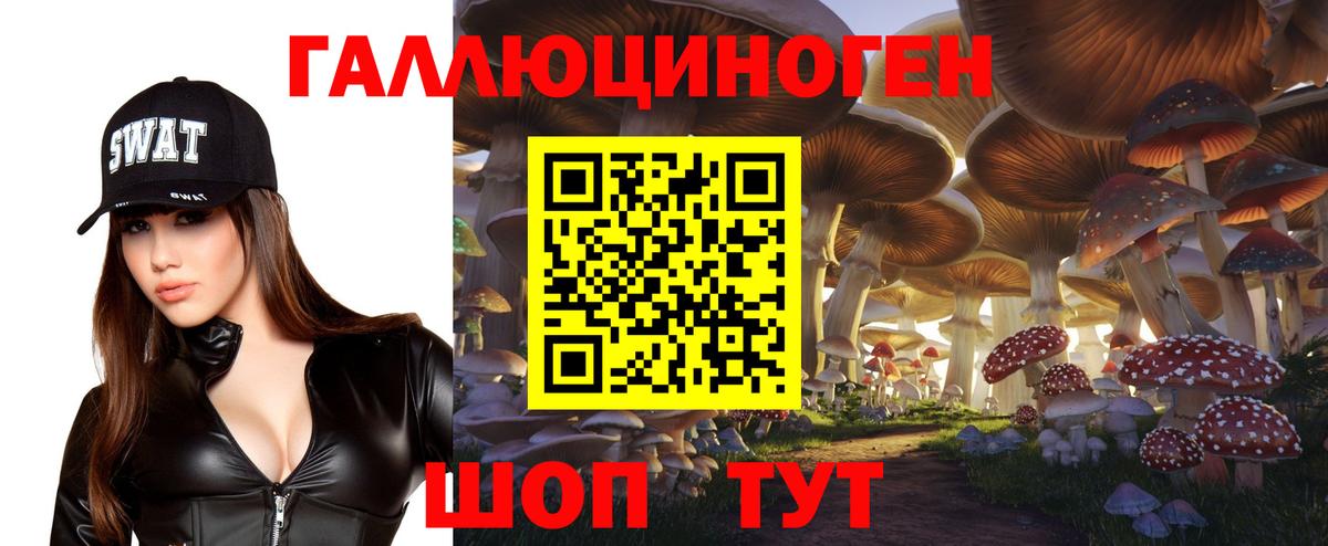 Псилоцибиновые грибы Psilocybine cubensis  Галлюциногенные грибы GOLDEN TEACHER  Вход с VPN  Мценск 