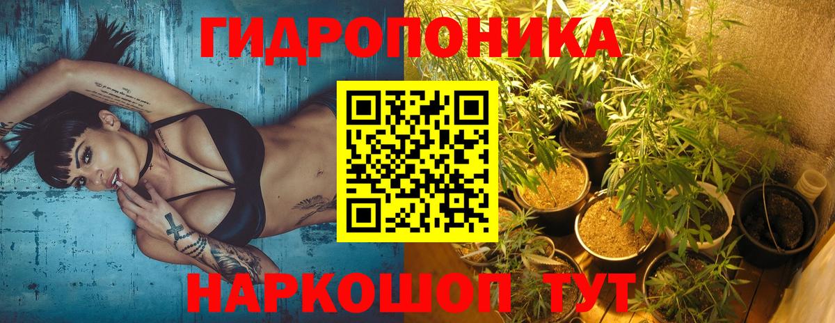 Бошки марихуана White Widow  Вход с VPN  Каннабис конопля  Мценск  Конопля ГИДРОПОН 